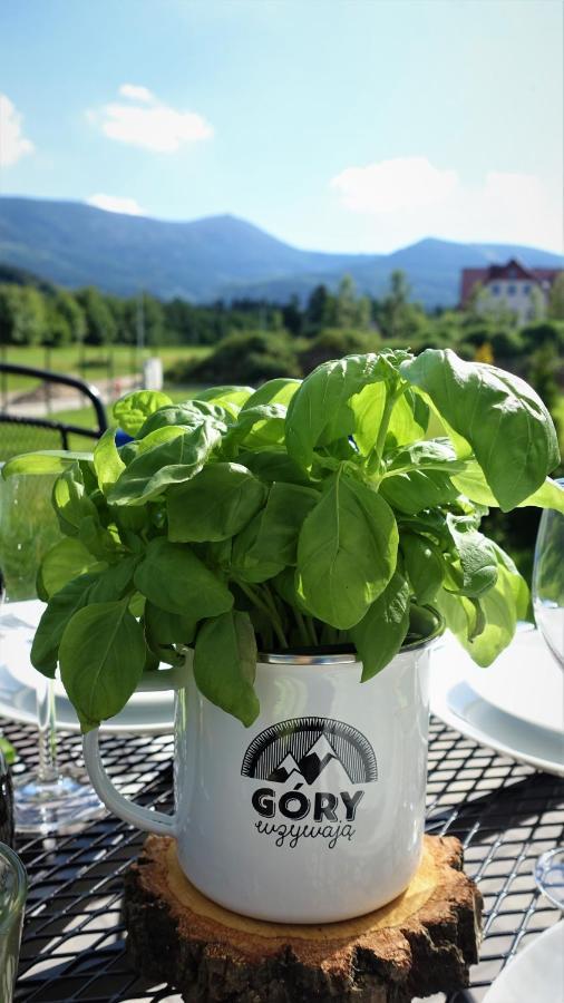 Widokowo - Z Widokiem Na Sniezke Z Jacuzzi I Sauna Chalet Karpacz