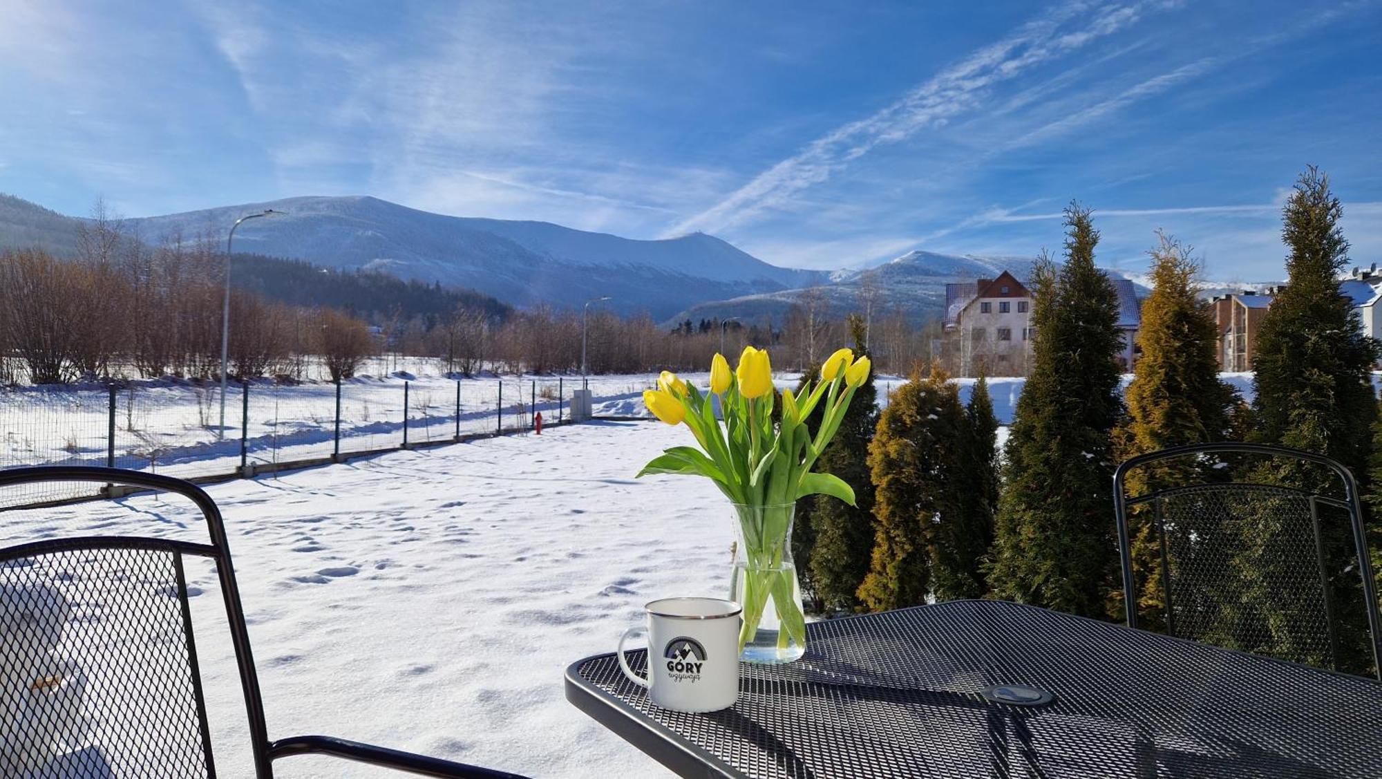 Widokowo - Z Widokiem Na Sniezke Z Jacuzzi I Sauna Chalet Karpacz